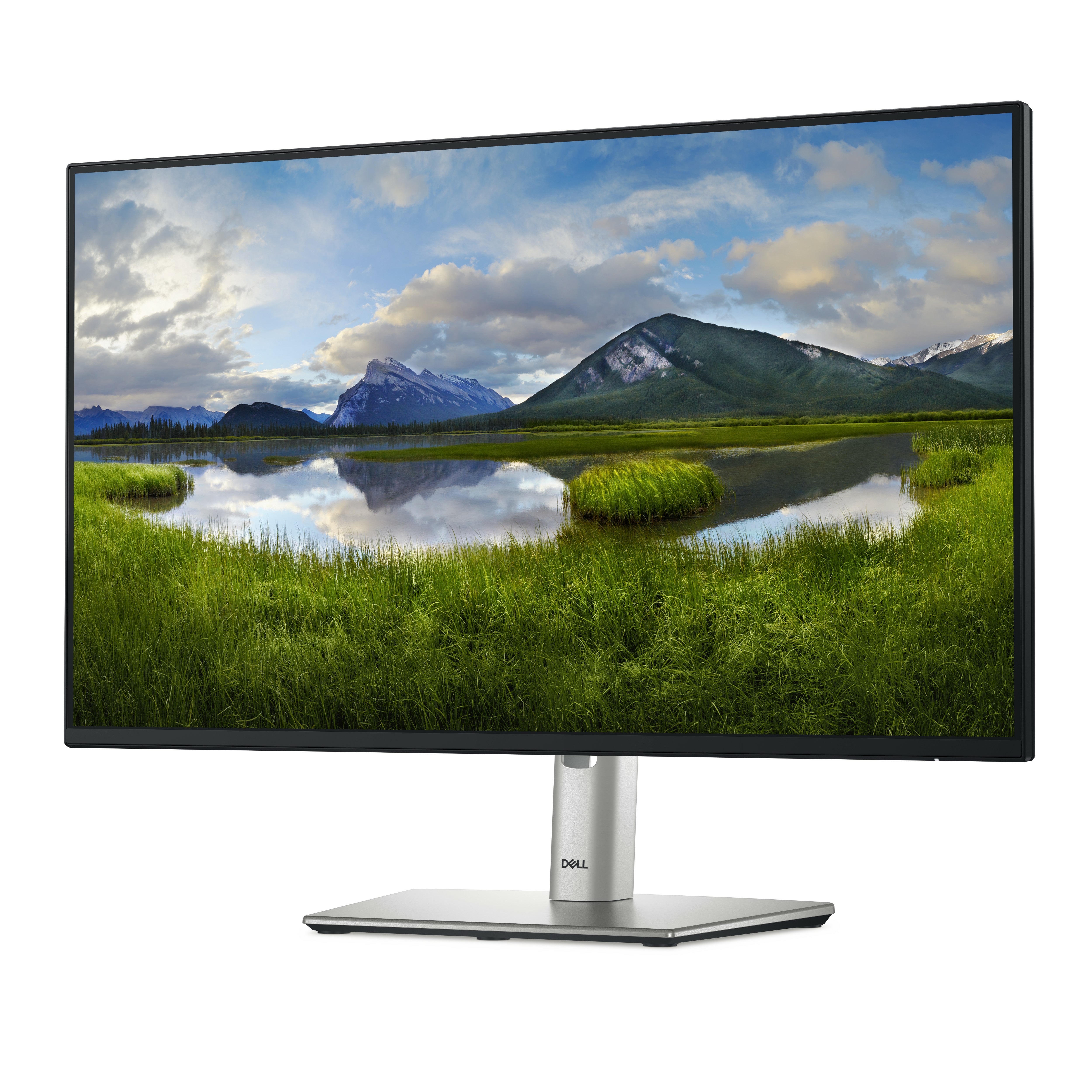 Dell P2425H 24 24-Inch Gaming Monitor | Full HD 1920x1080 | 100Hz | 5ms | IPS Panel | 99% sRGB | HDMI + DisplayPort + USB-C | Black