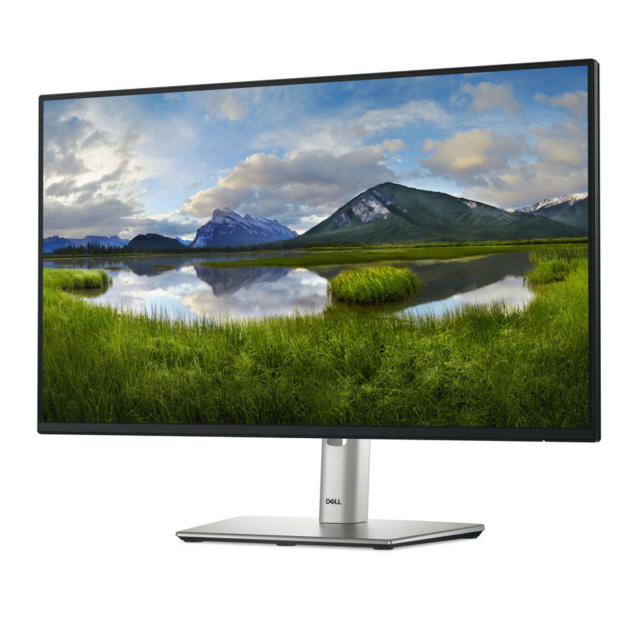 Dell P2425H | 24" Monitor | Full HD 1920x1080 | 100Hz | 5ms | IPS | 99% sRGB | HDMI + DisplayPort + USB-C | Black