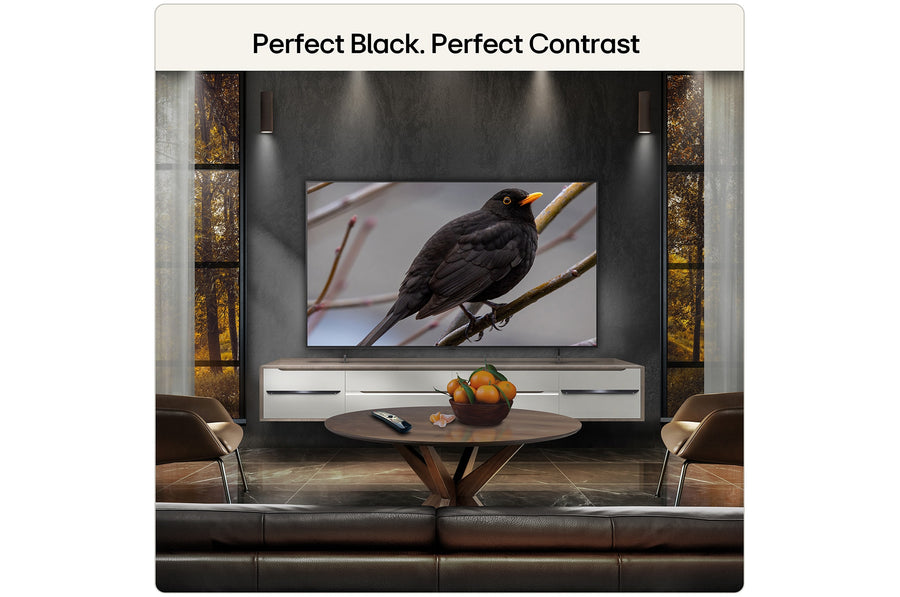 LG OLED B6 65-inch in a living room
