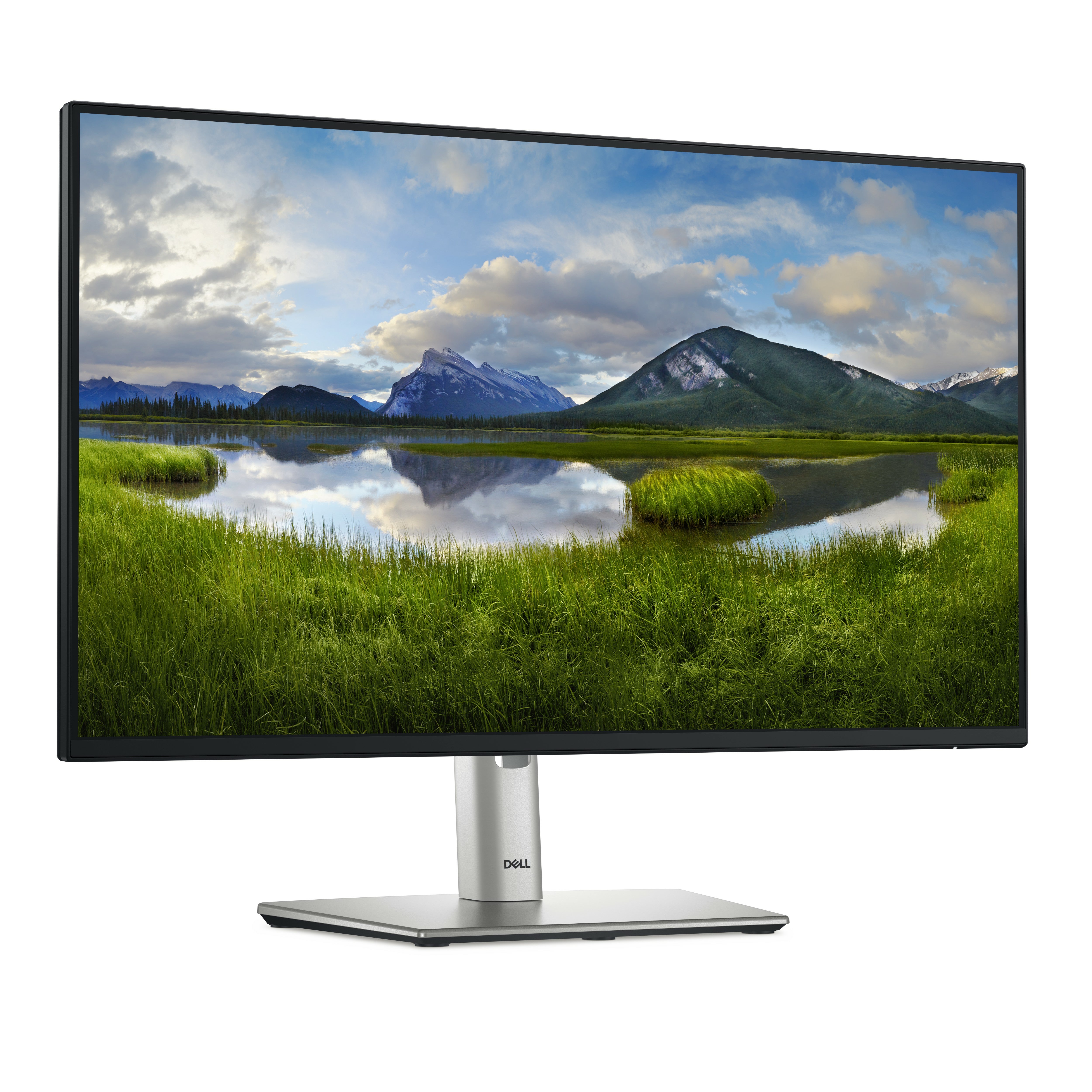 Dell P2425H 24 24-Inch Gaming Monitor | Full HD 1920x1080 | 100Hz | 5ms | IPS Panel | 99% sRGB | HDMI + DisplayPort + USB-C | Black
