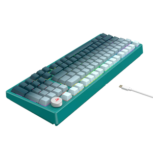 Havit KB899L Wired RGB Mechanical Gaming Keyboard | 97-Key Compact Layout with Number Pad | Hot-Swappable | Gasket Mount | Dynamic RGB | Volume Knob | PBT Side-Printed Keycaps | 50M-Keystroke Life | 1.8m USB | Windows · macOS