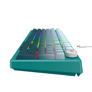 Havit KB899L Wired RGB Mechanical Gaming Keyboard | 97-Key Compact Layout with Number Pad | Hot-Swappable | Gasket Mount | Dynamic RGB | Volume Knob | PBT Side-Printed Keycaps | 50M-Keystroke Life | 1.8m USB | Windows · macOS