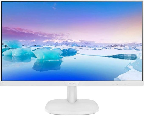 Philips 24178L 24-Inch Monitor