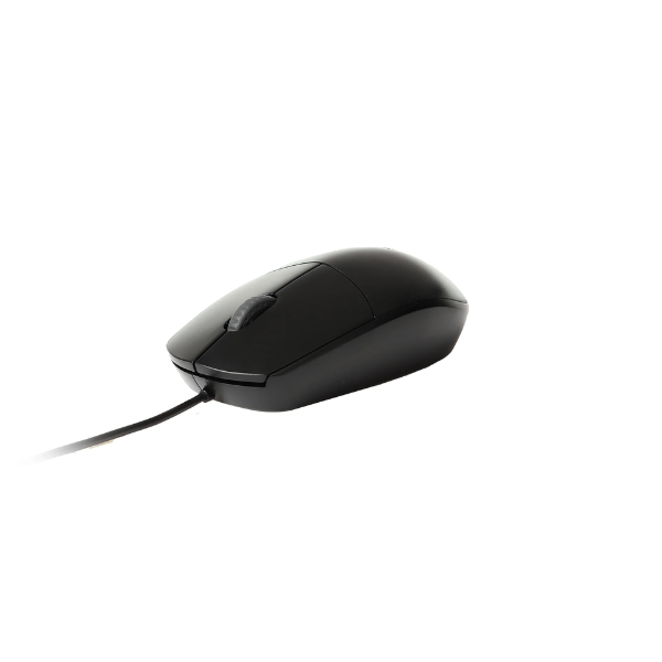 Rapoo N100 Wired Optical Mouse | 1600 DPI · Optical | USB Wired · Plug and Play | 3 Buttons · 2D Non-Slip Scroll Wheel |