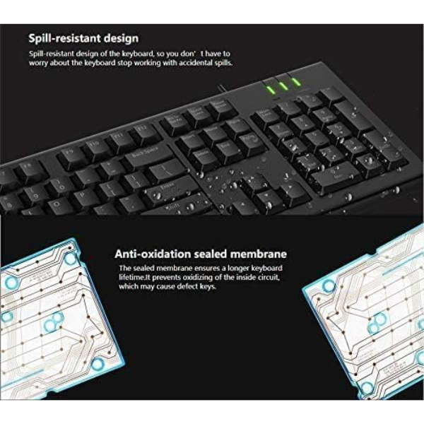 Rapoo NK1900 Wired Membrane Keyboard | Full-Size with Numeric Keypad | Arabic · English Layout | Spill Resistant | Multi