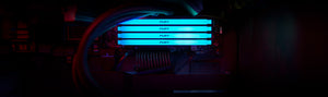 Kingston FURY Beast RGB 8GB DDR4-3600 Desktop Memory | KF436C17BBA/8 · 1 × 8GB | 3600 MT/s · CL17-21-21 · 1.35V | Intel XMP 2.0 · Infrared Sync RGB | 288-Pin · Non-ECC Unbuffered | Black