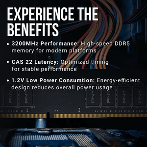 PNY Performance MD16GSD43200-TB 16GB (1 x 16GB) DDR4 Desktop Memory Module | DDR4-3200 MHz · PC4-25600 | CL22 · 1.2V | Non-ECC Unbuffered 288-Pin DIMM | Limited Lifetime Warranty